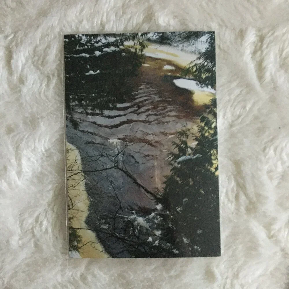 Set of 4 Original Canadian Winter Photographs Nature Bark Twigs River Macro Art - Picture 5 of 7